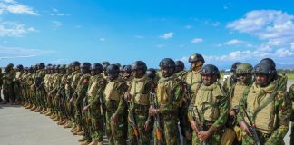 Mobilisation de la FRG: Haïti obtient d’importantes offres de troupes et va contribuer au financement de la force