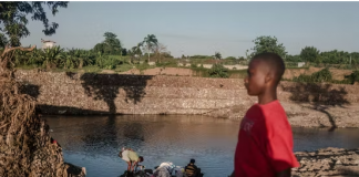 Dans le nord d’Haïti, les paysans unissent leurs forces pour lutter contre la sécheresse et le changement climatique