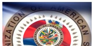 OAS advances Roadmap for Haiti: security and 2026 elections