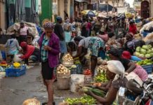 Bajan importaciones desde Haití, solo US$50 millones (DIRECCIÓN GENERAL DE ADUANAS)