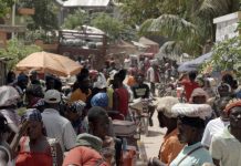 Dans le nord-ouest d’Haïti, les agriculteurs à l’épreuve de la sécheresse et de la violence