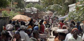 Dans le nord-ouest d’Haïti, les agriculteurs à l’épreuve de la sécheresse et de la violence